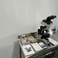Olympus BX53 Microscope image 0